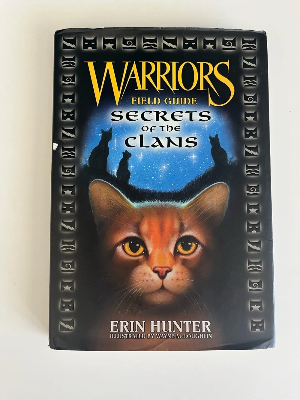 Erin Hunter Warriors: Power of Three Dark River Outcast Secrets of the Clans
